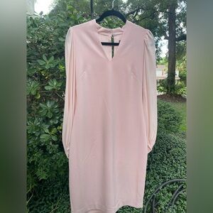 Vince Camuto Blush Long Sleeve Dress